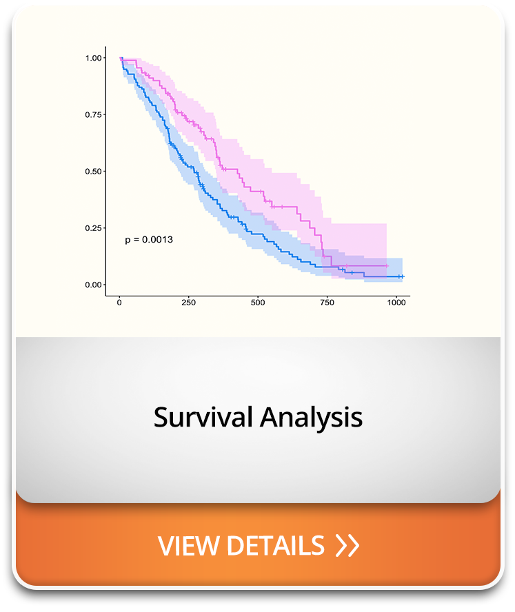 Survival Analysis
