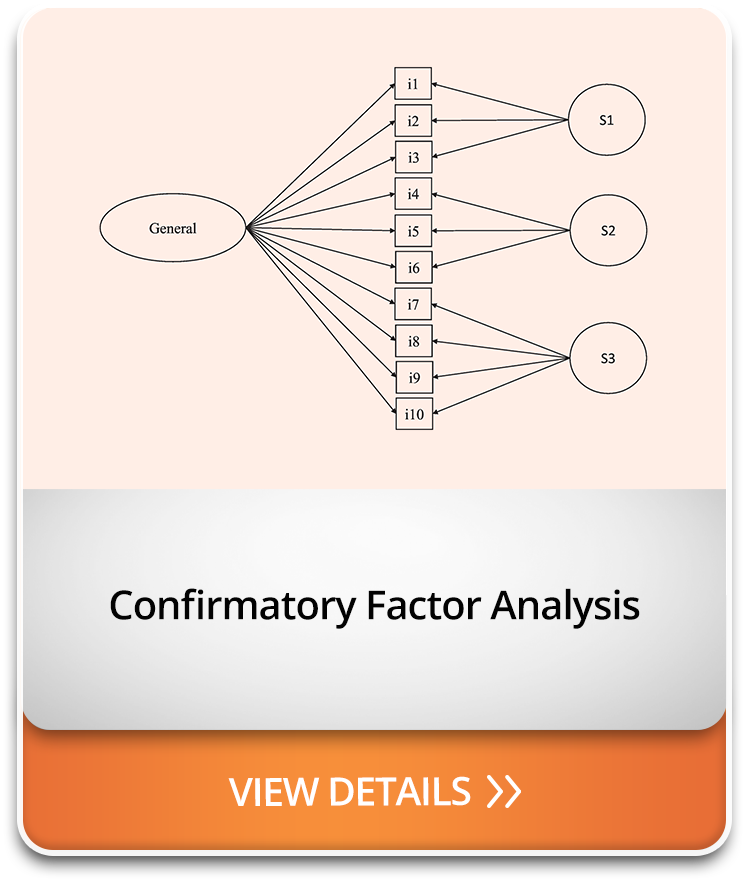 Confirmatory Factor Analysis