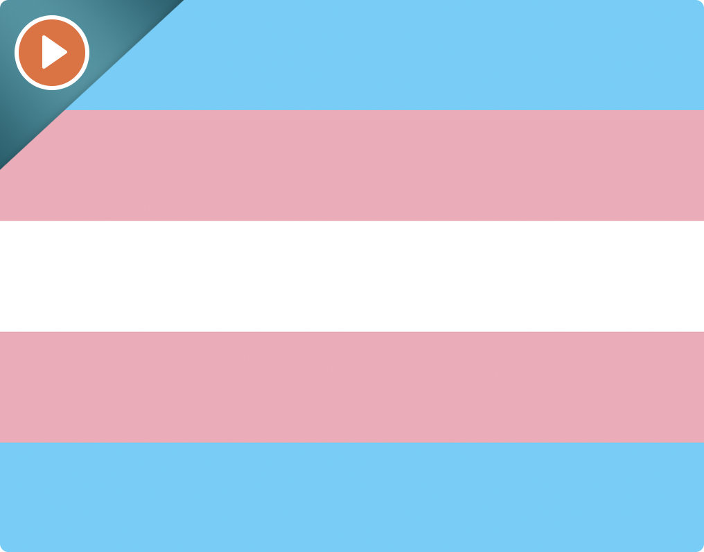 How to Empower & Support Transgender Students