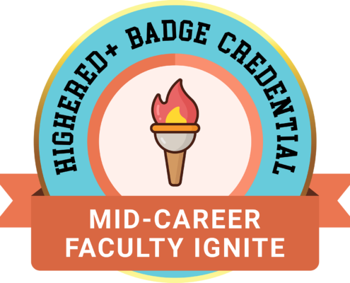Mid-Career Faculty Ignite