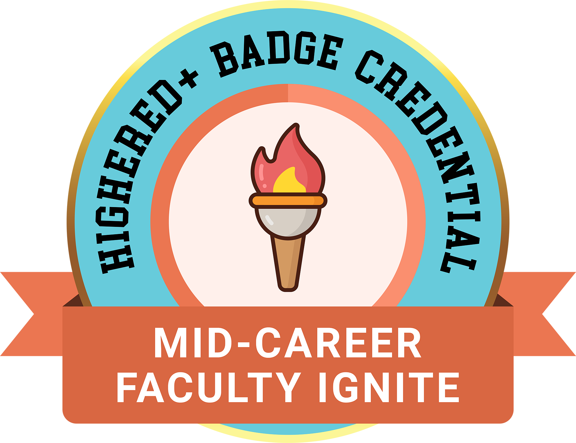 Mid-Career Faculty Ignite